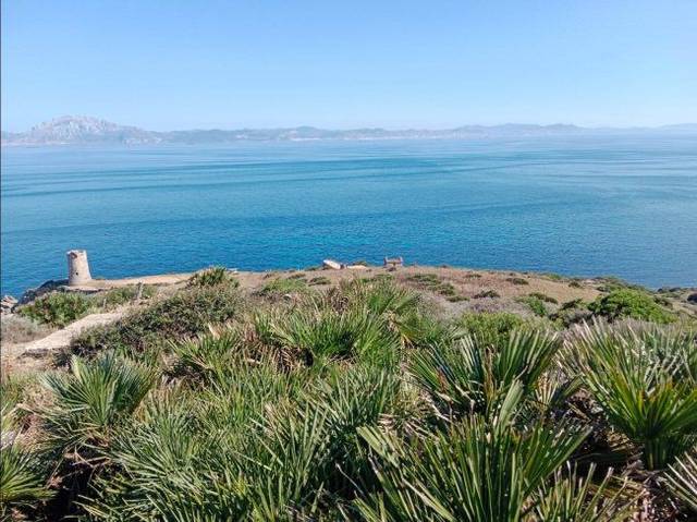 Finca rústica en Venta en El Cuartón - El Bujeo