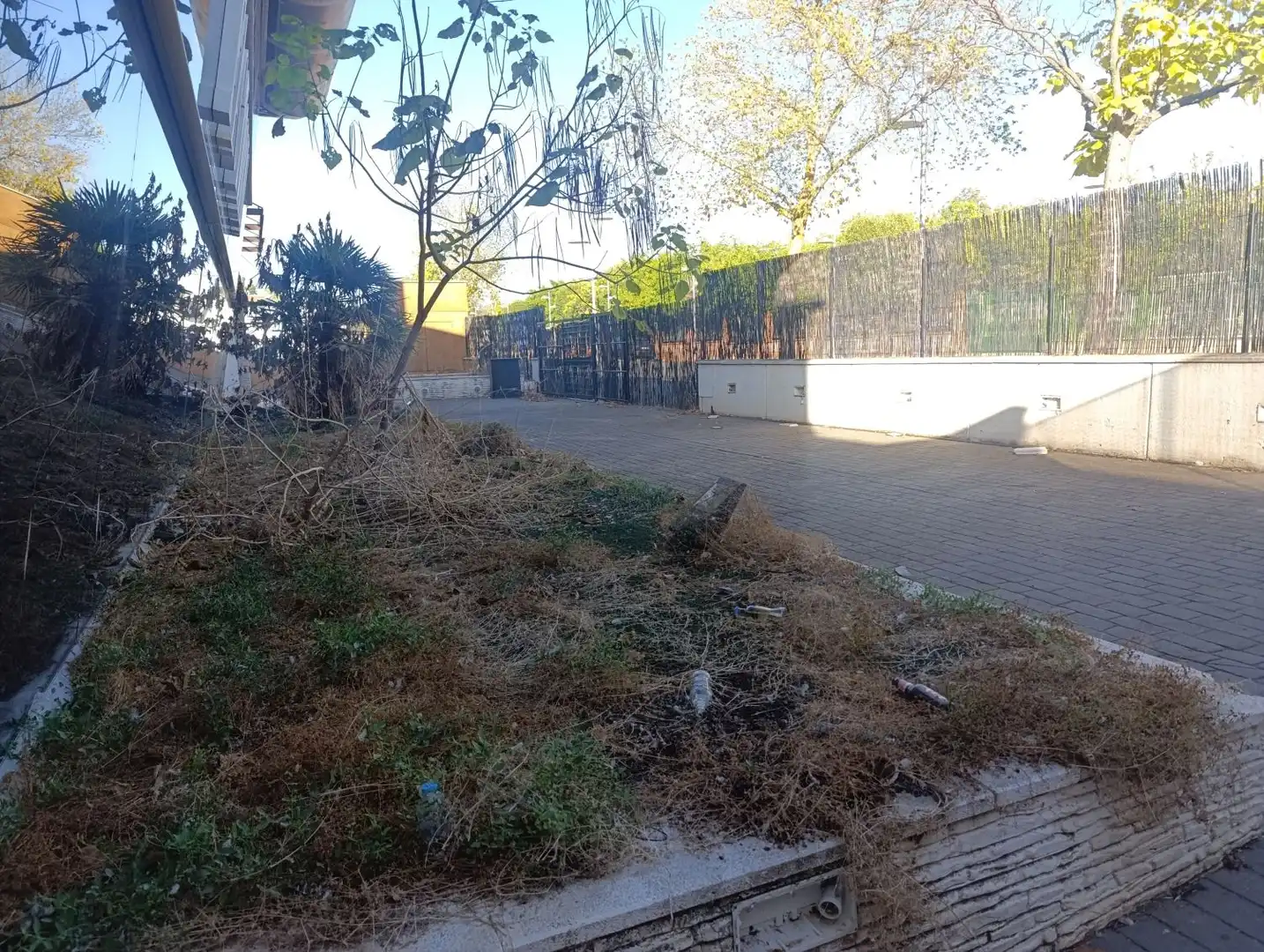 Nave industrielle à vendre à Valdepeñas, imagen 14