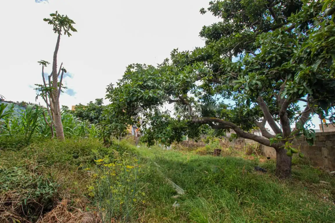 Terreno residencial en venta en El Sauzal, imagen 15