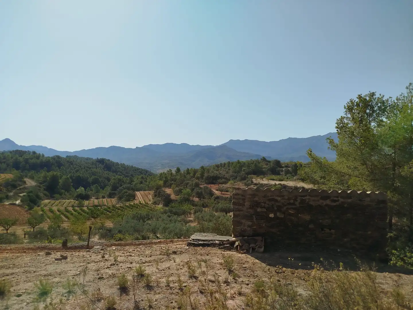 Rural land for sale in Horta de Sant Joan, imagen 4