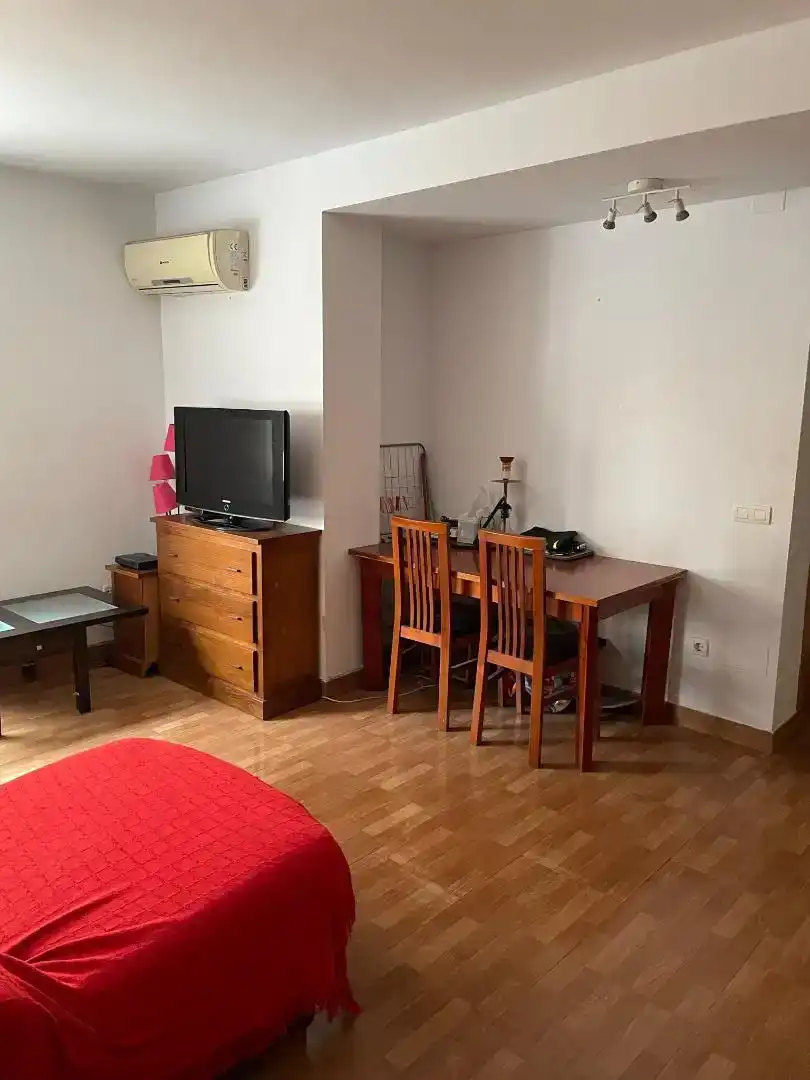 Living room of Flat for share in Málaga  with Air Conditioner, Furnished and Oven