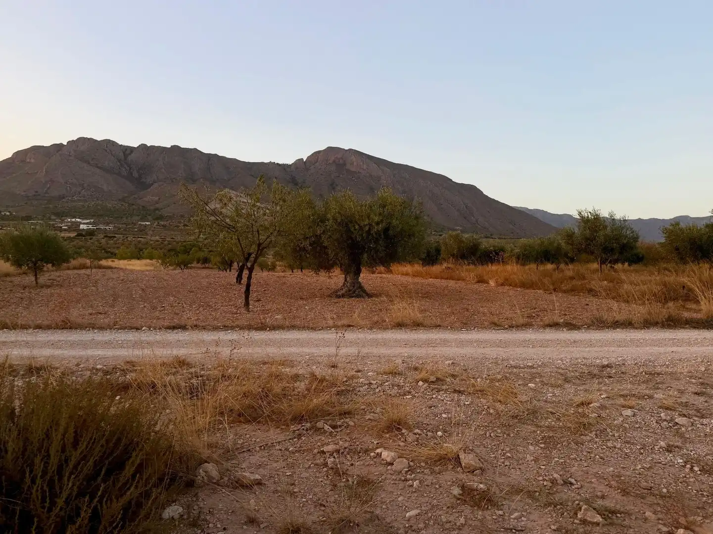 Lands and plots for sale in Abanilla, imagen 8