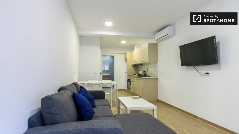 Pis de lloguer a Hostafrancs