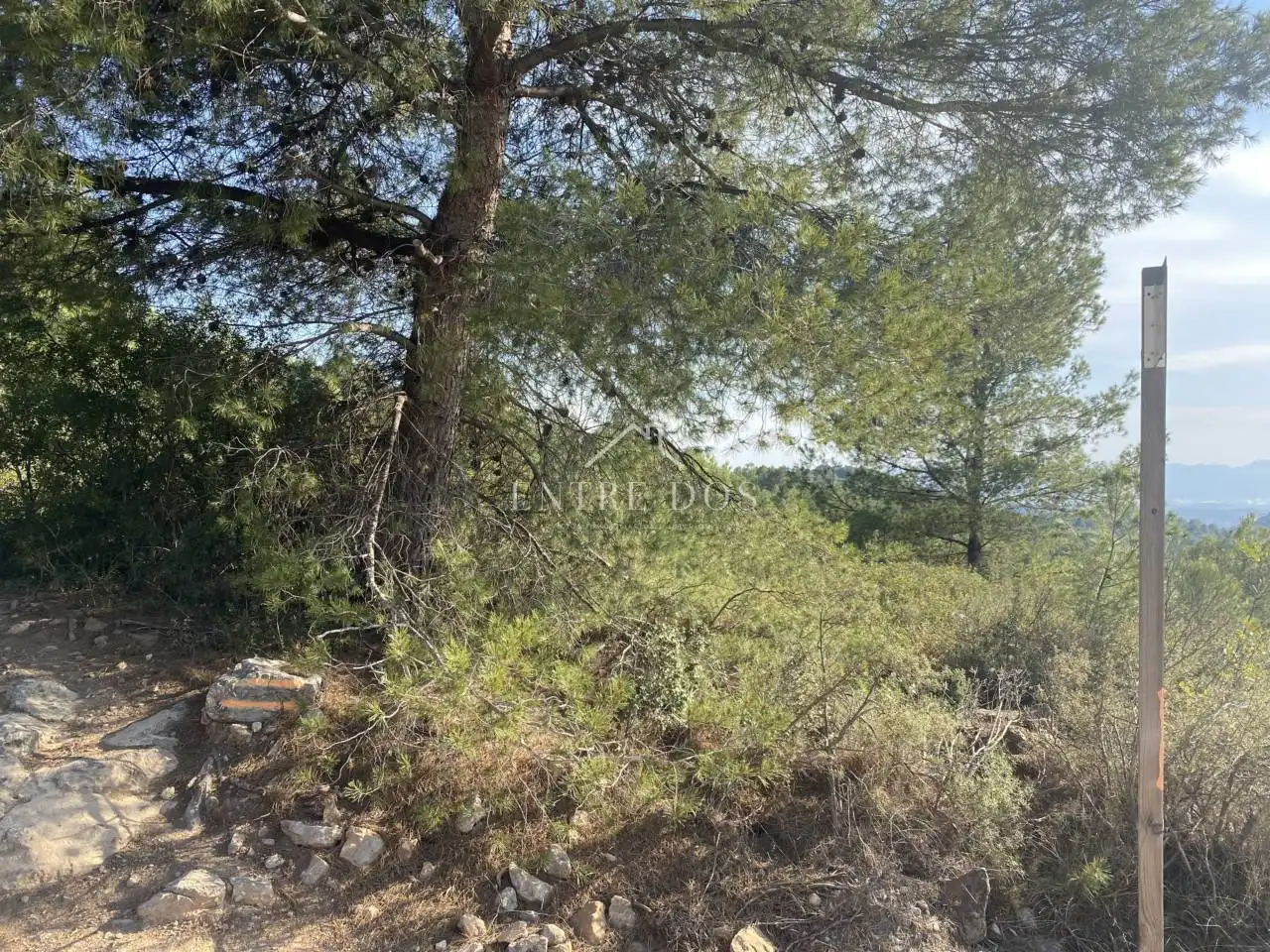 Rural land for sale in 18 parcela 79, imagen 12