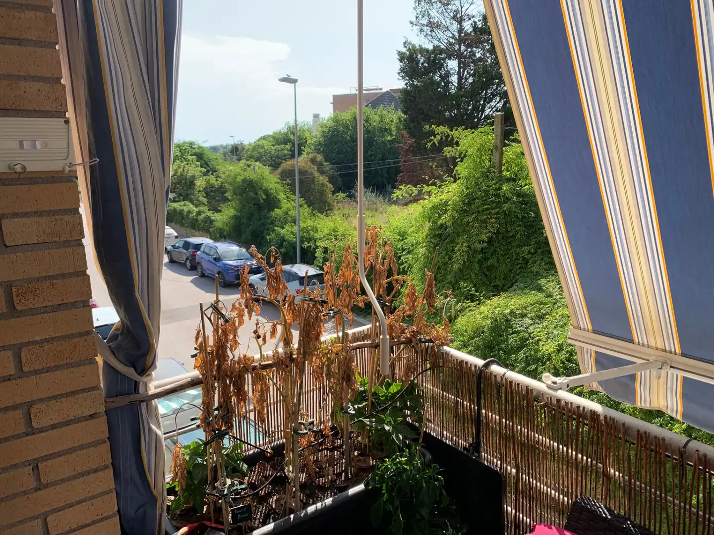 Wohnung mit Terrasse zum Verkauf in Camí dels Munts, imagen 25