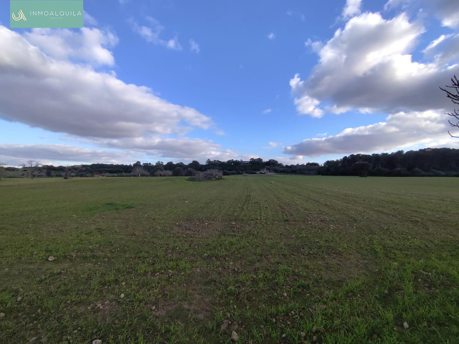 Residential for sale in Sineu