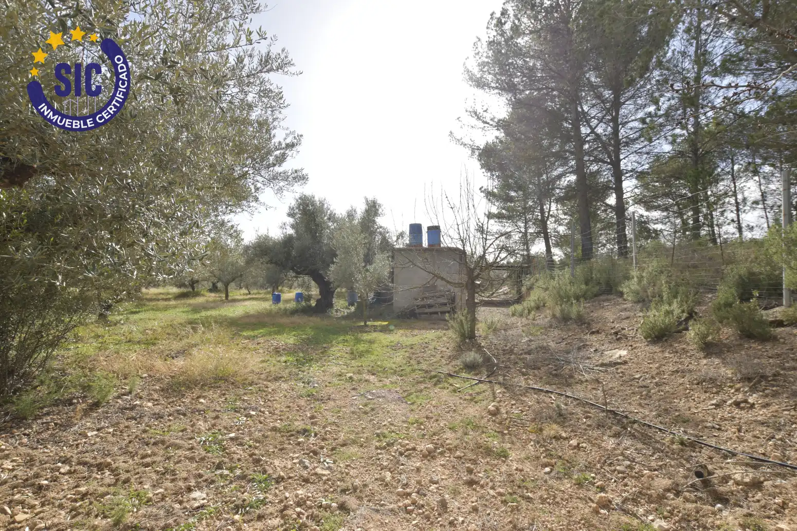 Land for sale in Jérica