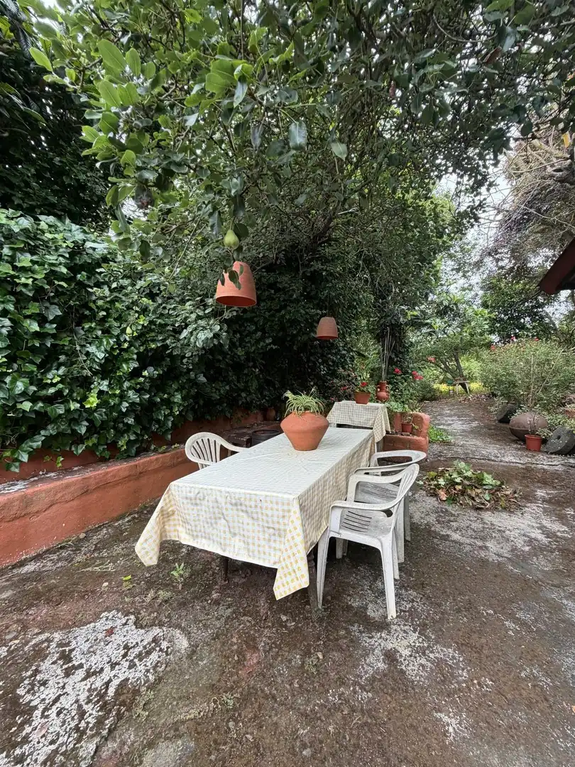 Terreno rustico in vendita a El Bebedero - Pinolere - Aguamansa, imagen 29