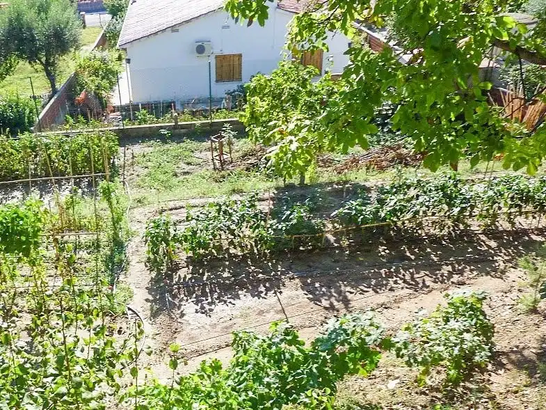 Residential land for sale in Can Rial, imagen 14