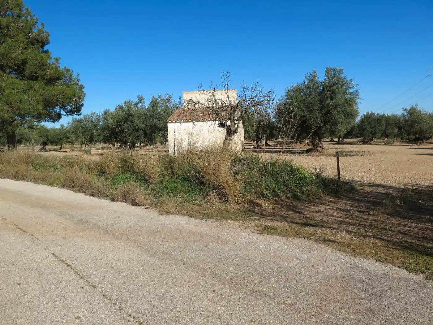 Terreno rustico in vendita a Carrer 2 Vila. Llarga, imagen 8