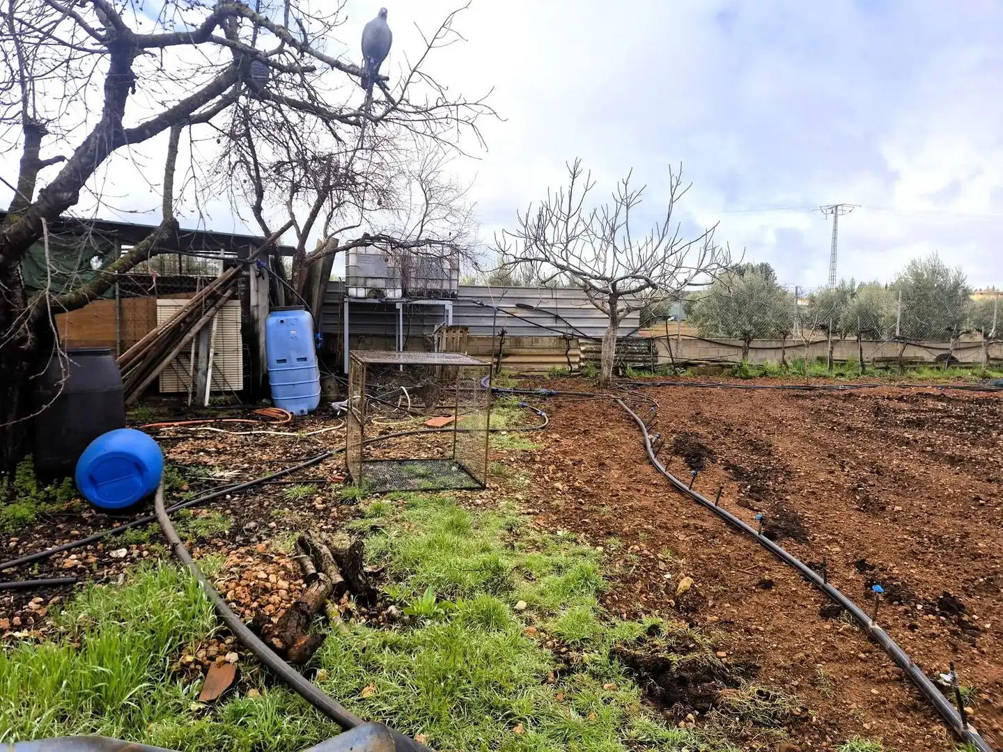 House with pool for sale in Moraleda de Zafayona, imagen 4