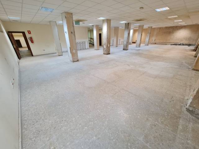 Local comercial en Alquiler en Parque Geólogo José Royo Gómez