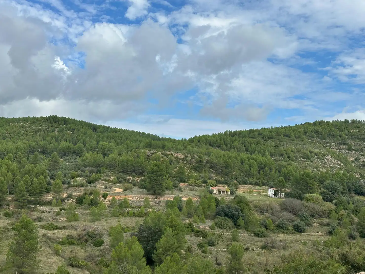 Finca rústica en venta en Enguera