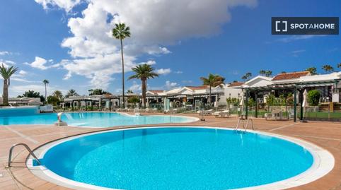 Photo 4 of Study to share in Maspalomas - Meloneras, Las Palmas