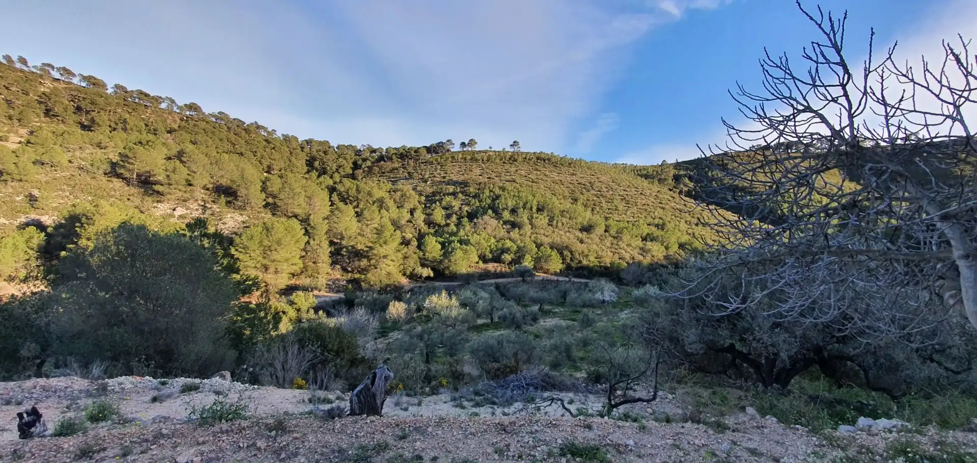 Casa o chalet en venta en Rasquera