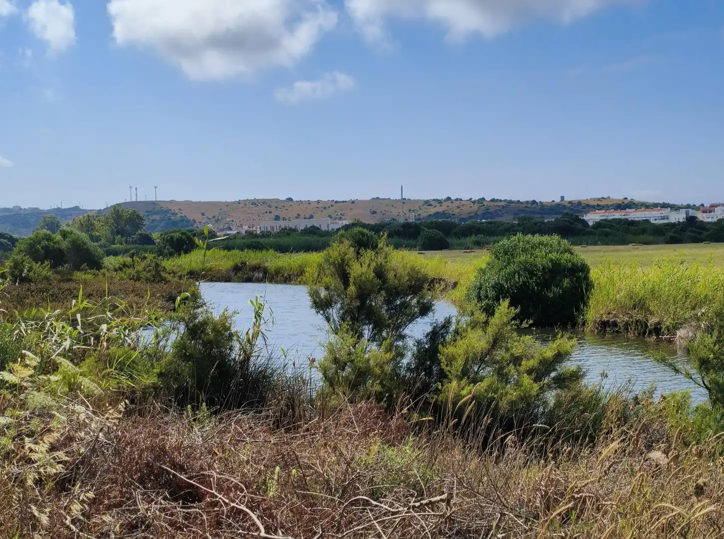 Maison rustique avec piscine à vendre à Tarifa ciudad, imagen 26