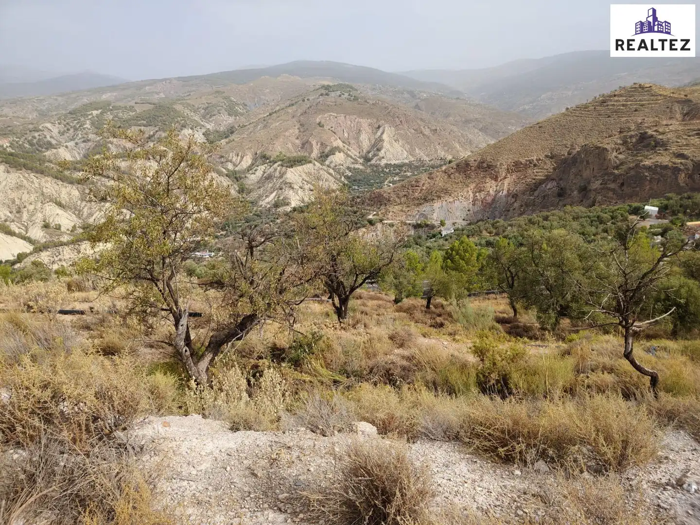 Terrain rustique à vendre à Alcolea, imagen 11