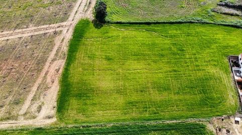 Foto 3 de Terreno en venta en Carretera Sc Subs, Carrión de los Céspedes, Sevilla