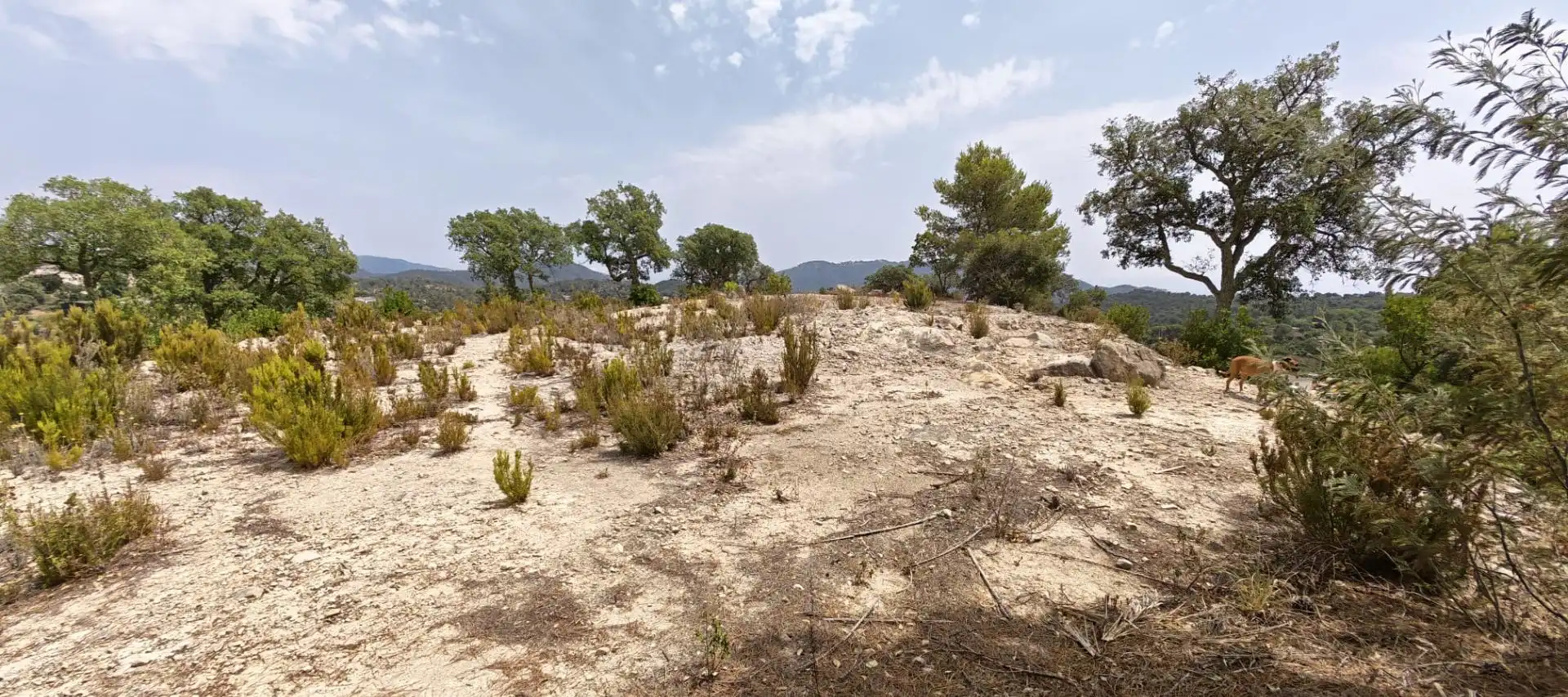 Terrenos y solares en venta en Lloret Residencial - Montlloret, imagen 2