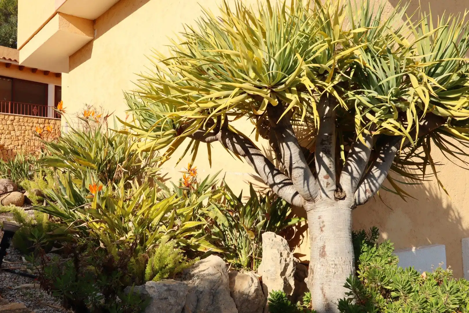 House with garden for sale in Altea ciudad, imagen 15