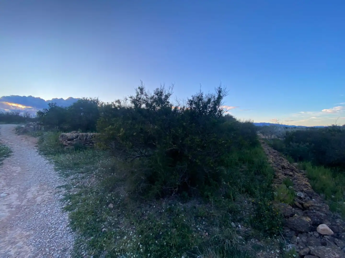 Finca rústica en venda en Masdenverge amb Piscina