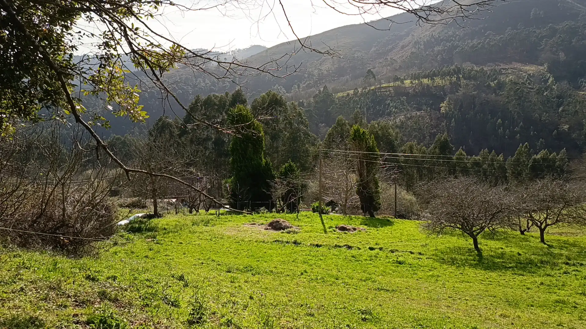 Grundstücke und Bauplätze zum Verkauf in La Peral, imagen 6