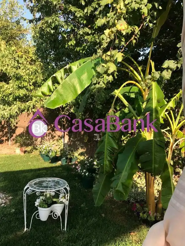 Garden of Houses for sale in Córdoba  with Heating, Private garden and Swimming Pool