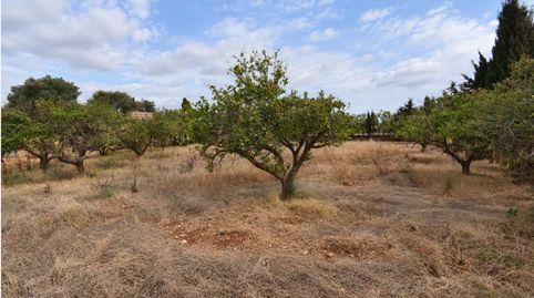 Foto 2 de Finca rústica en venta en Muro, Illes Balears