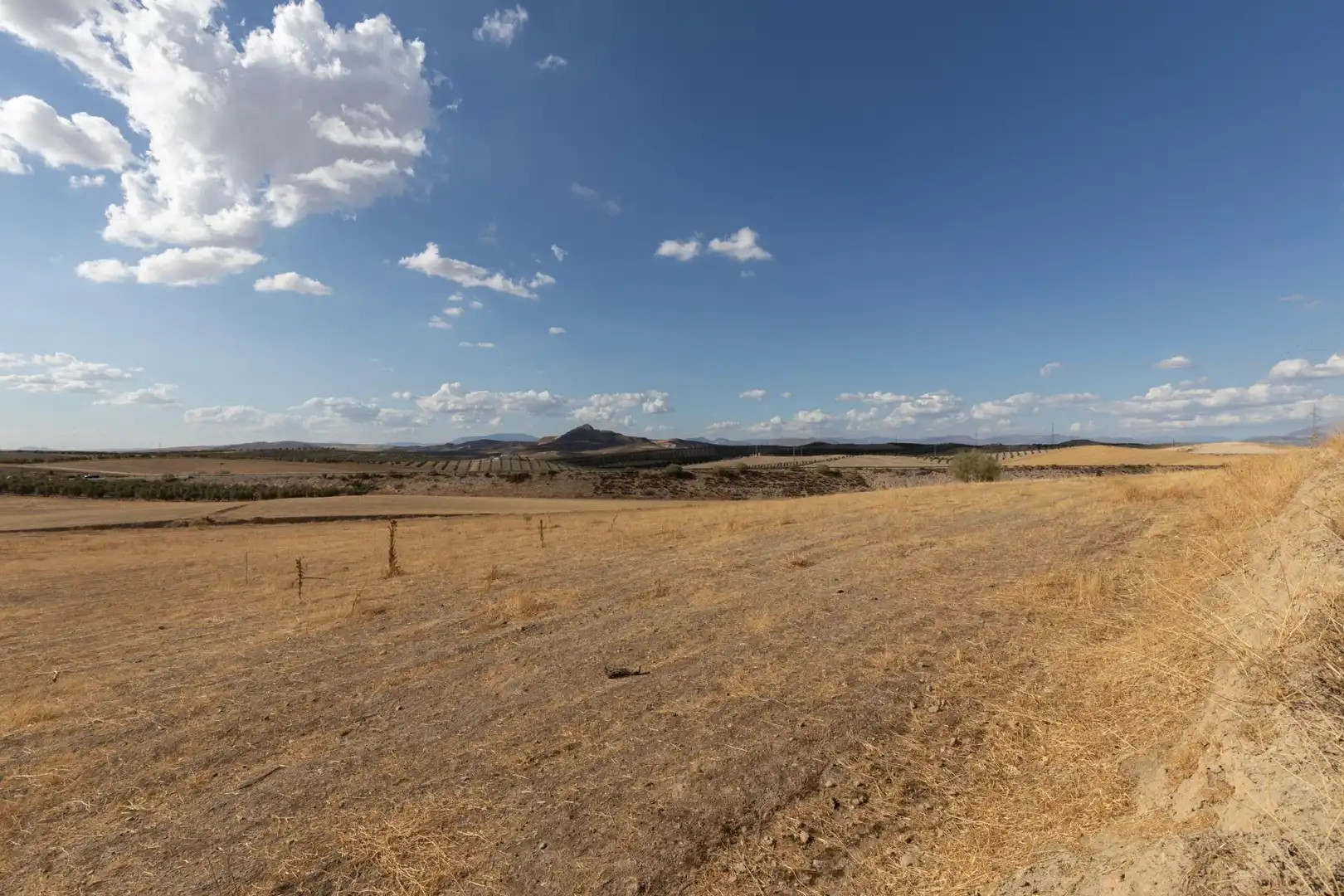 Lands and plots for sale in Polígono Polígono 6 Parcela 17 CAÑADA ESPARRAGAL. VILLA D 6, imagen 3