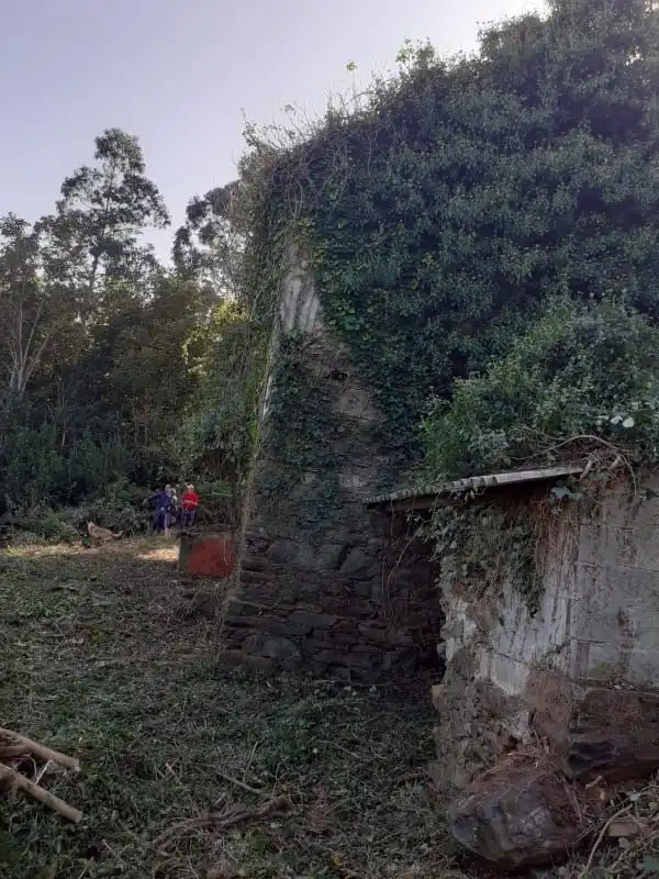 Vista exterior de Finca rústica en venta en Cedeira con Jardín privado