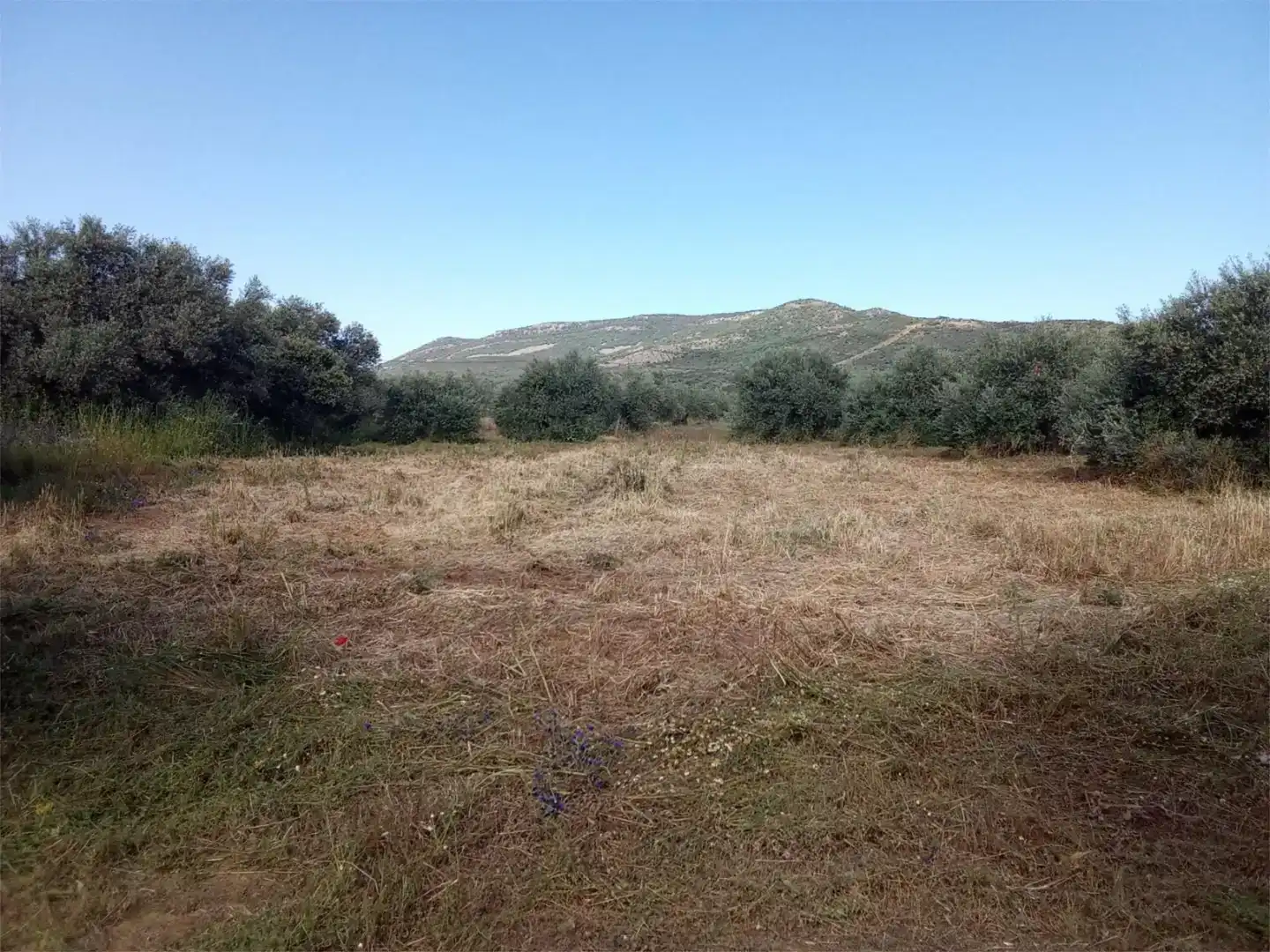 Pis en venda en Piedrabuena amb Jardí privat, Traster i Moblat
