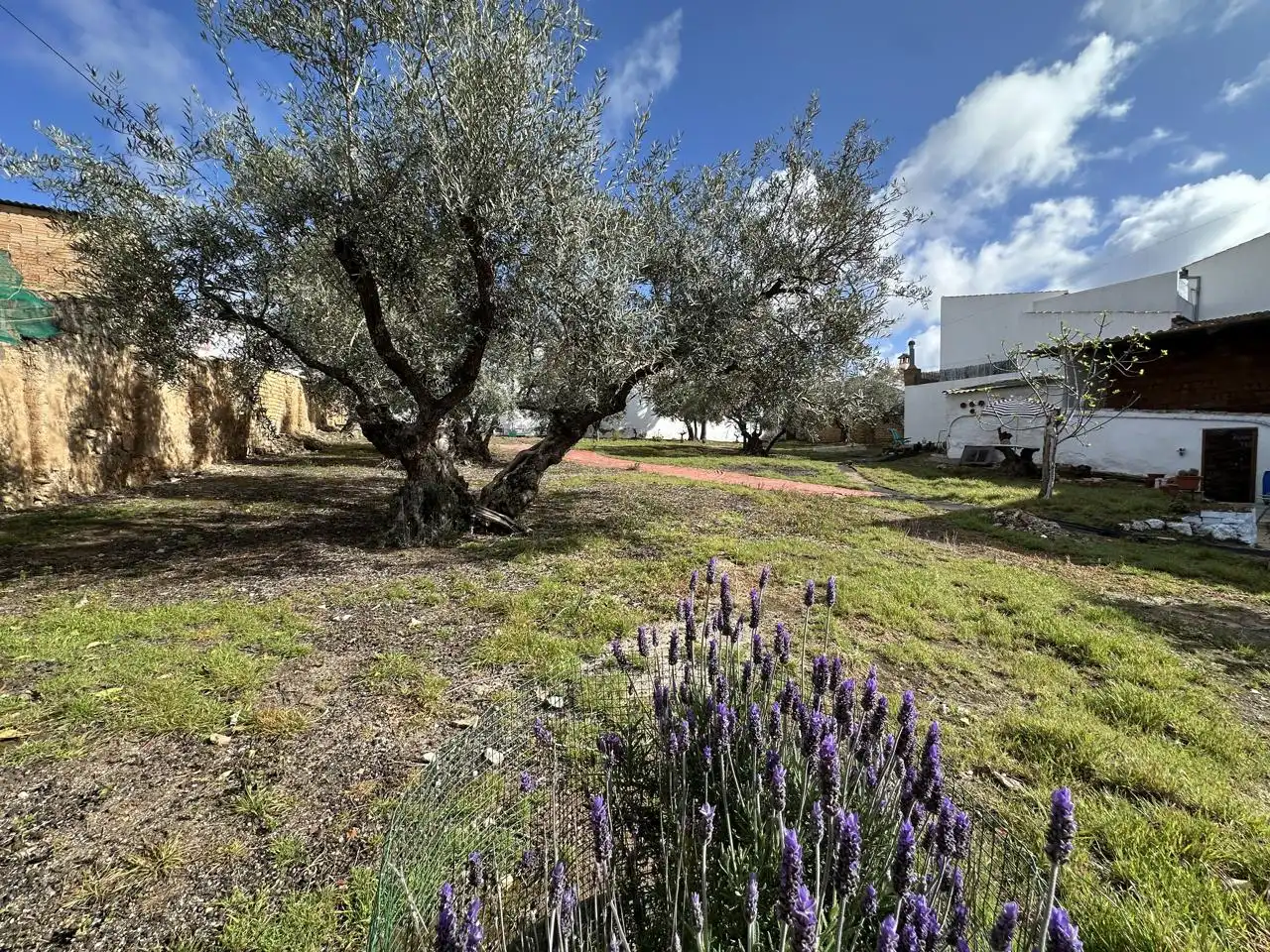 Casa amb jardí en venda a Villanueva de Algaidas, imagen 49