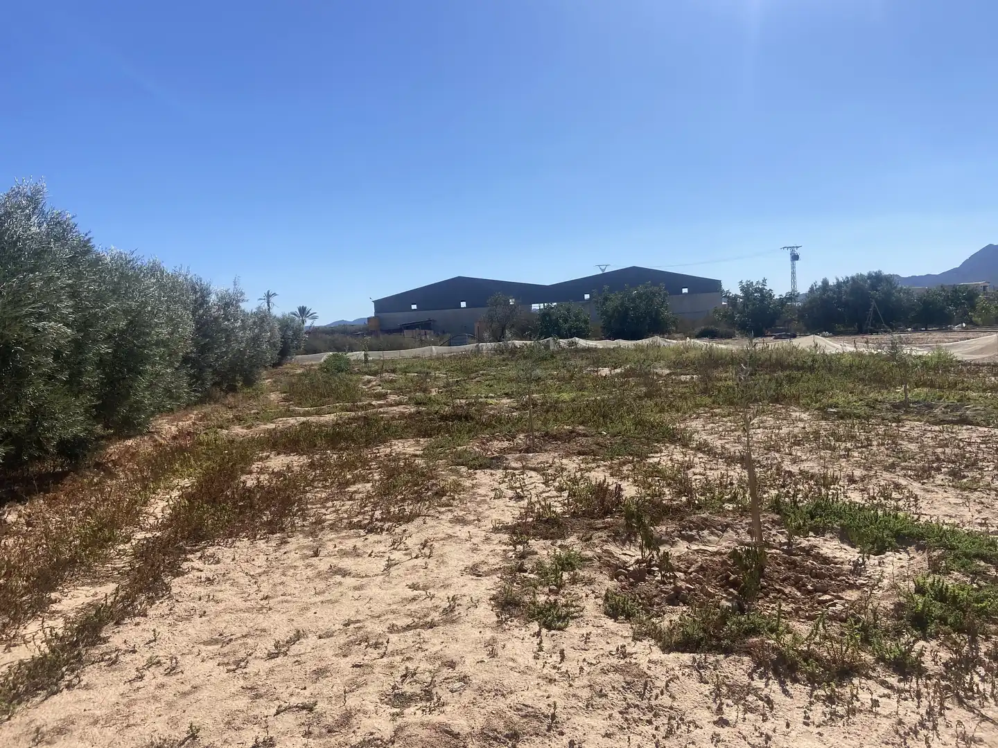 Land for sale in Cartagena