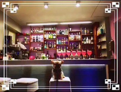 Business premises for transfer in Centre, imagen 5