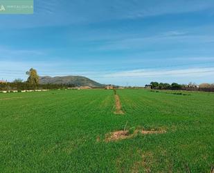 Land for sale in Sa Pobla