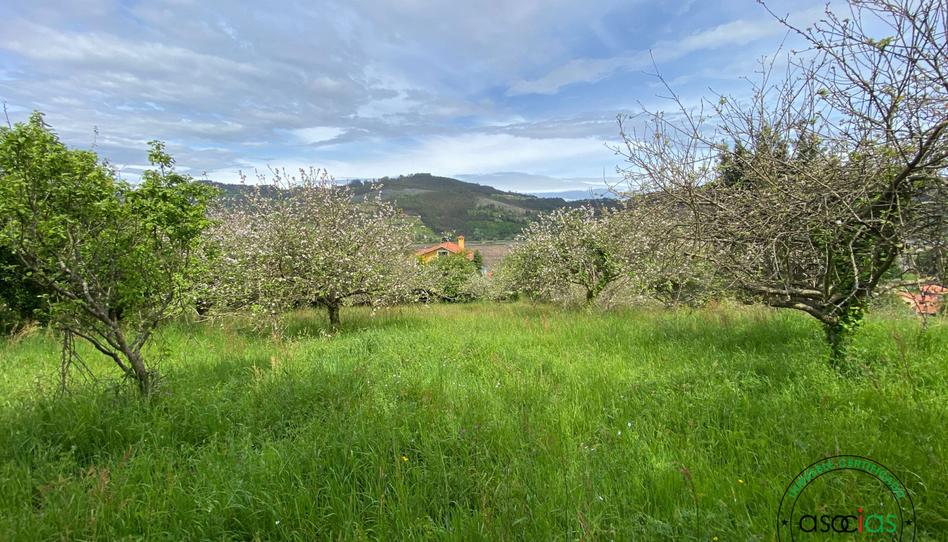 Foto 1 de Residencial en venta en Villaviciosa - al Muslera, Selorio - Tornón, Asturias