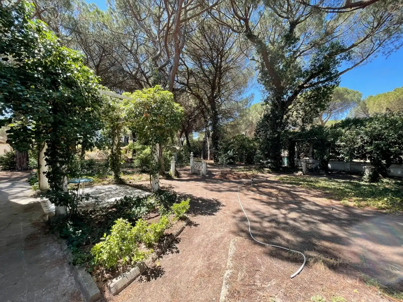 Jardí de Casa o xalet en venda en Valladolid