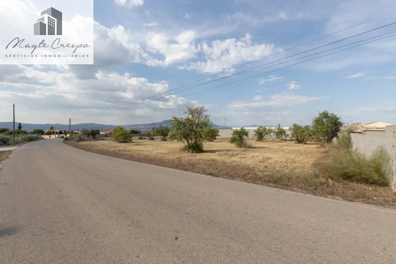 Rural land for sale in Moraleda de Zafayona, imagen 17