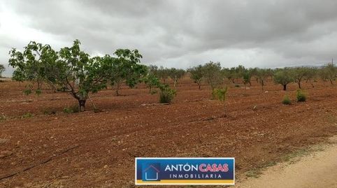 Photo 4 of Residential for sale in El Pinós / Pinoso, Alicante