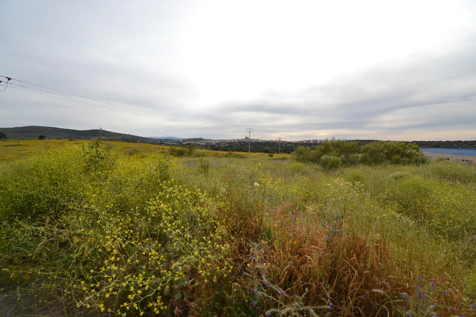 Terreno industrial en venta en Malpartida de Plasencia