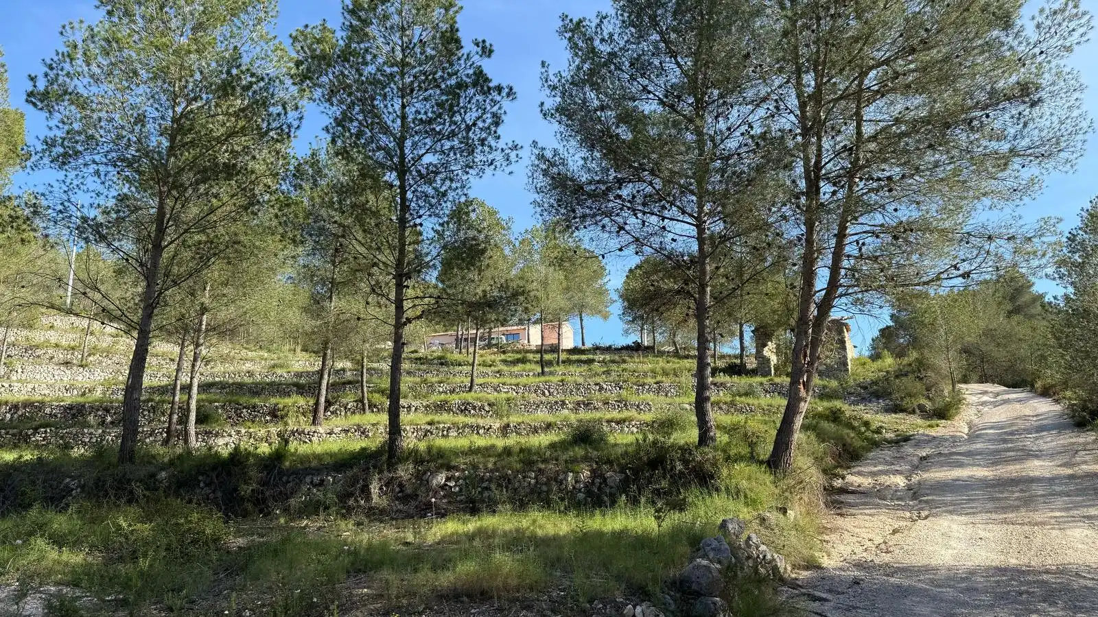 Maison rustique à vendre à Partides comunes - Adsubia, imagen 30