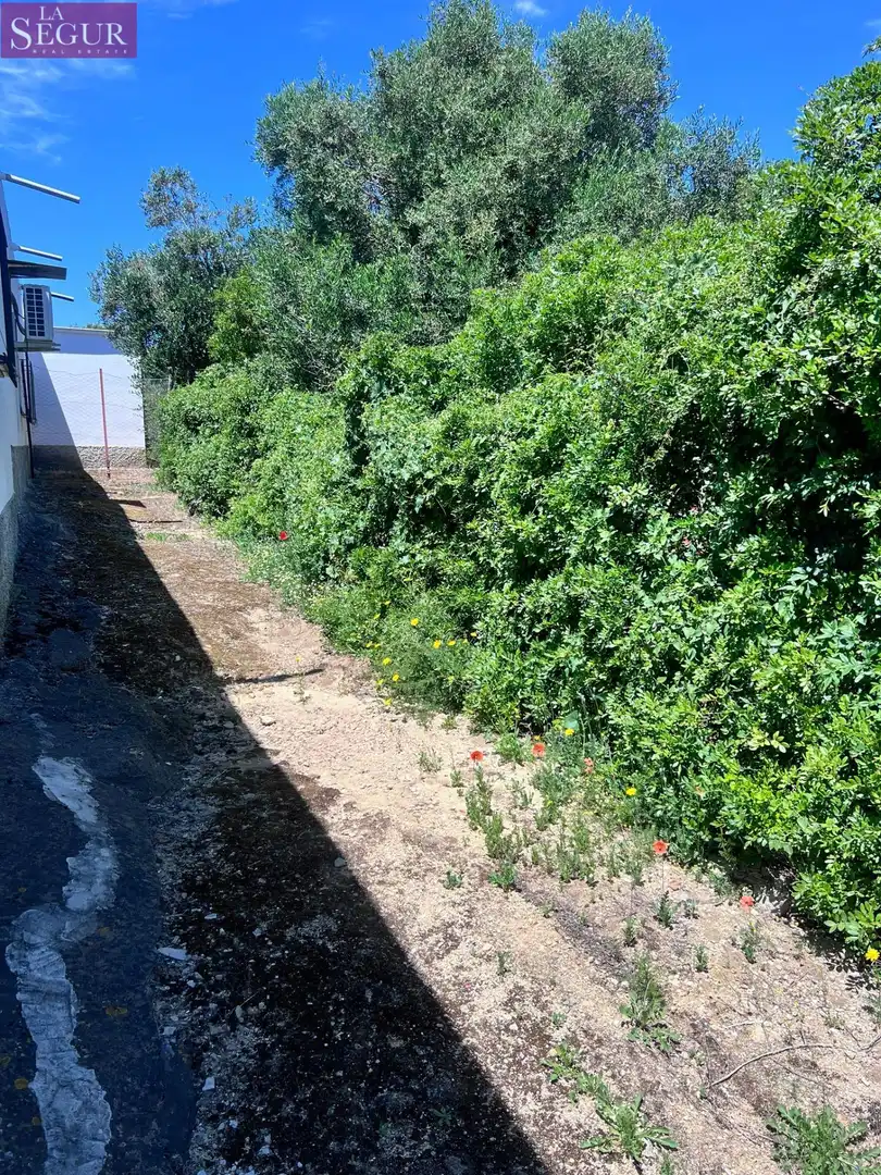 Casa o xalet en venda en Vejer de la Frontera amb Jardí privat