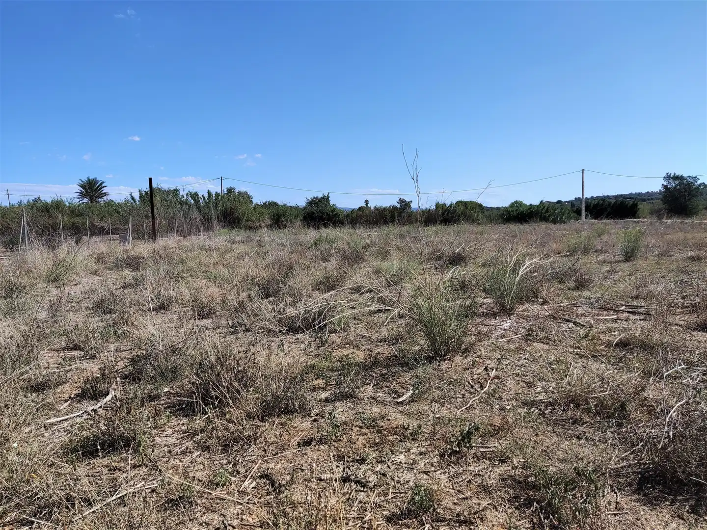 Rural land for sale in Carretera d'Amposta, imagen 23