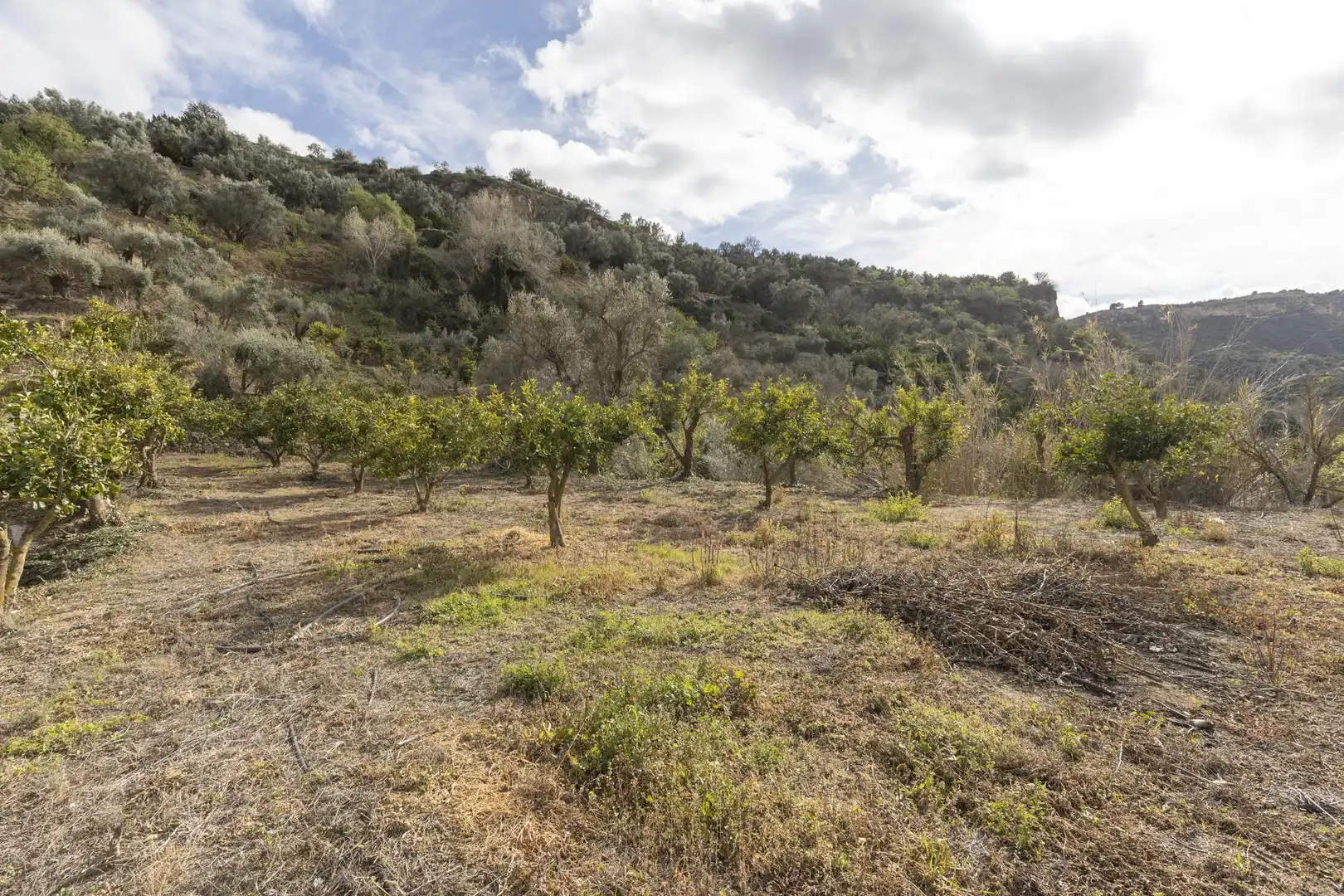 Finca rústica en venta en El Valle, Serón