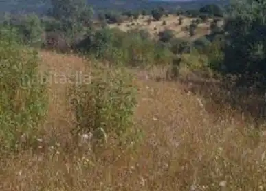 Terreni e lotti in vendita a Los Tablones - La Garnatilla