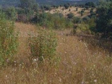 Terreno rustico in vendita a Los Tablones - La Garnatilla