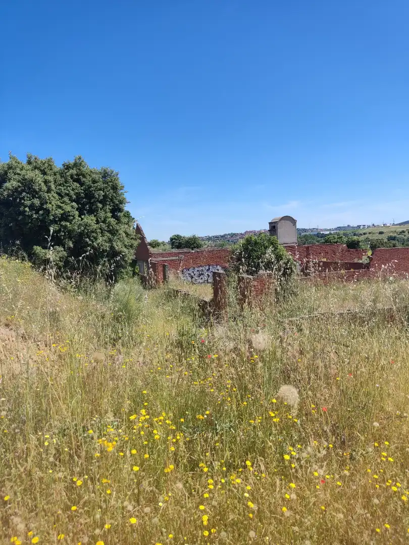 Land for sale in Navalcarnero