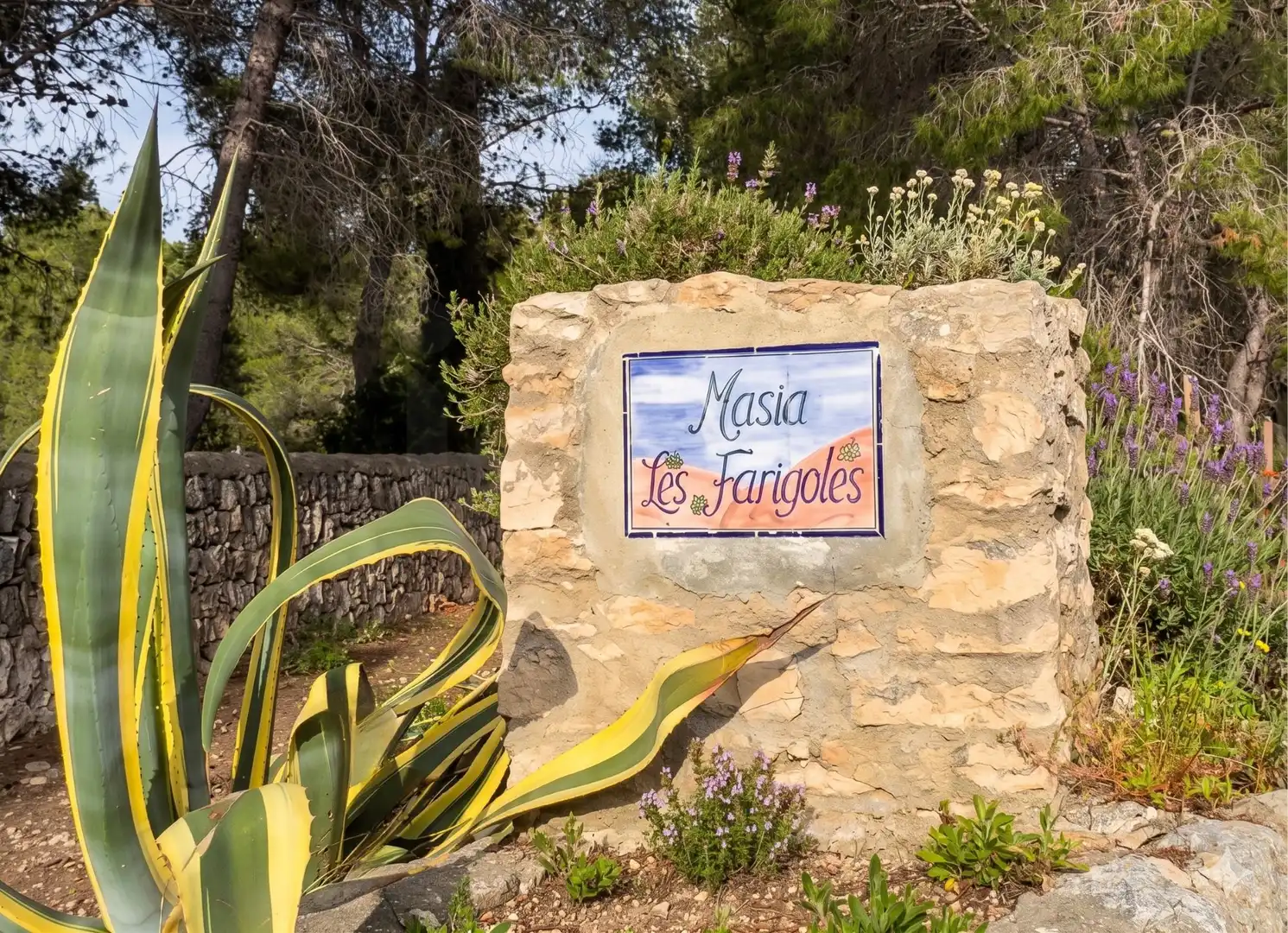 Casa rústica con piscina en venta en Puig Moltó - Can Macià, imagen 3