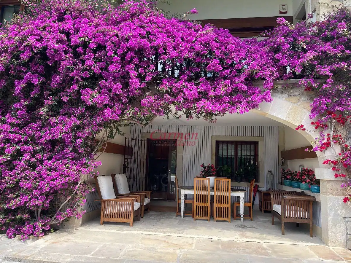 Jardín de Casa o chalet en venta en Loiu con Jardín privado, Terraza y Trastero