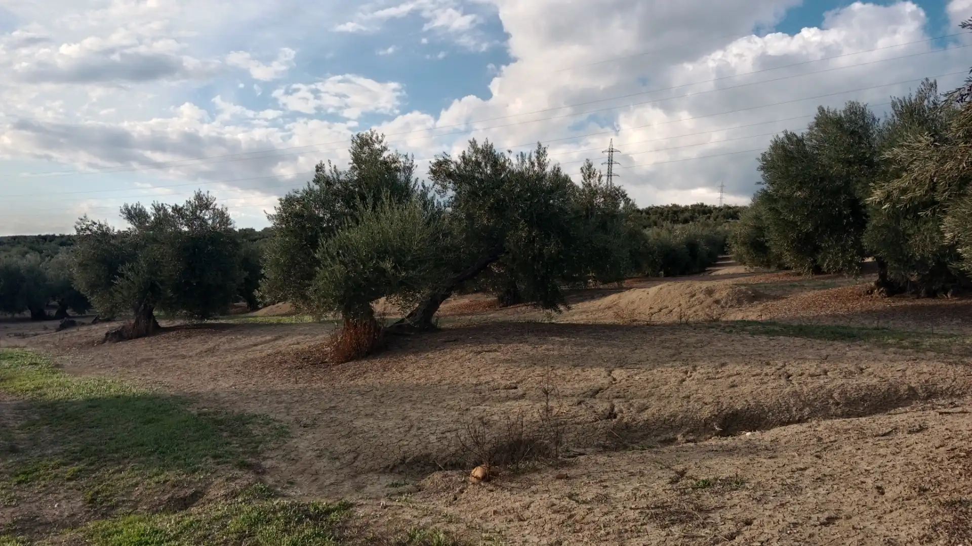 Terreno en venta en Andújar